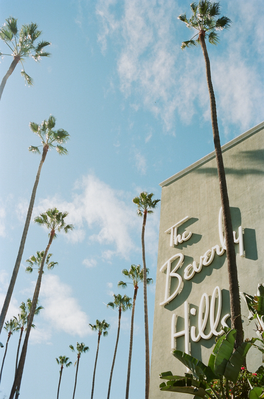 Beverly Hills Elopement