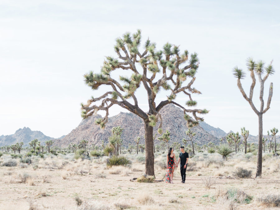 Engagement Photo Ideas: Joshua Tree, California